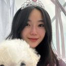 개린이집 강아지분양 고양이분양 전주본점 이미지