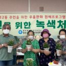 힐링 원예교실 이미지