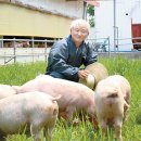 이범호(65) 성지농장 대표 `돼지` - 2017.7.24.중앙 外 이미지