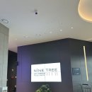 판교파미어스약국 이미지