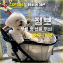도그바스캣 | 왓도그캣 포로리 강아지 고양이 유모차 무료 펫 선물 받는 법