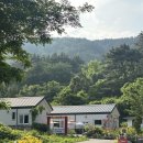 다이노 꽃밭에서 이미지