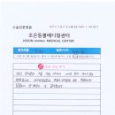 늘조은동물병원 이미지
