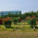 신서중앙공원 이미지