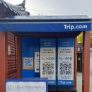 남이섬 봄펜션 | [경기도가볼만한곳]가을나들이명소추천 가평남이섬가을단풍여행