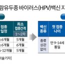 그래픽바이러스