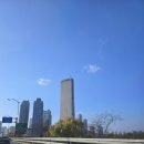 문어숙회로 시작해 닭한마리로 마무리한 잘먹고 잘사는 파샤미의 주말일기