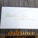 밤부(BAMBOO) 이미지