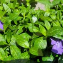 만나복떡집 이미지