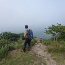 산정천 이미지