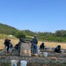 양파수산