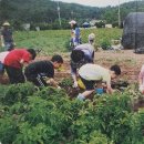병성목장 | 서산 가볼만한 9곳 / 서산 9경,해미읍성 외 .