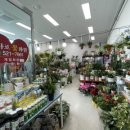 하나로꽃화원