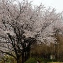 풍암호수공원 이미지