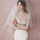더켈리 이미지