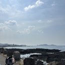 3월 제주 힐링여행 '제주도 환상전기자전거' 대여 후기
