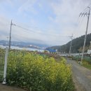 모리아펜션 이미지