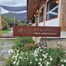 카페누비 | 경주 서악지구 한옥 카페 누비공방카페혜다