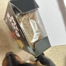 싹Dog 이미지