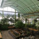 화가의정원 이미지