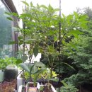 희진농장 이미지