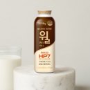 에치와이 동안점 | 위 건강 걱정된다면? 에치와이 윌 미니로 시작하는 가벼운 습관 추천