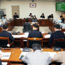 낭비성 이미지
