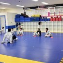 금강태권도 파워점핑 이미지