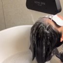 포레스파헤어