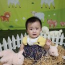 은빛농장 이미지