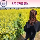 영강동주민센터 | 전남 나주 유채꽃이 만개한 영산강 체육공원