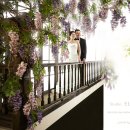 수원-0211 이미지