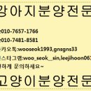 더개 이미지