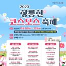 코스모스페이스