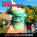 뉴에버여행사 | “이 글 안 보면 후회합니다” 에버랜드 주차·포토존·야간개장 완벽 정리