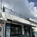 아이조아 캣파크 서울점 이미지