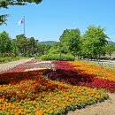 시민공원 이미지