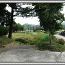 신평중학교 이미지