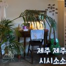 시시소소 | 제주 감성 구좌 카페 시시소소 평일 방문 후기