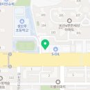 용인대 여명태권도장 이미지