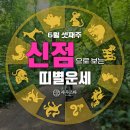 (주)스타사주
