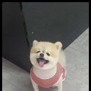 멍했냥평택