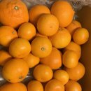 보내농장 이미지