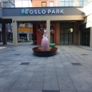 코오롱애견 이미지