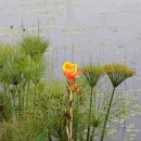 시명공인중개사사무소 이미지