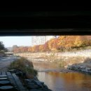 당현천산책로 이미지