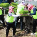 두루미자는버들골마을 이미지