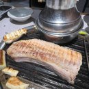 도야집