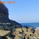 조선가구만물상 | 옹진, 자월도(紫月島) 섬 트레킹이야기