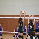 홍천해당화 이미지